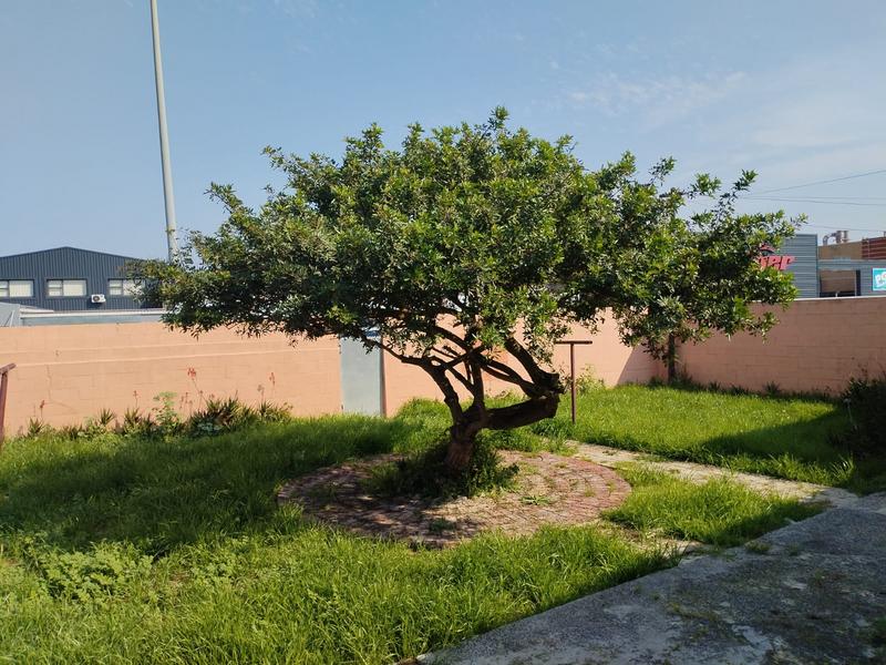 3 Bedroom Property for Sale in Durbanville Western Cape